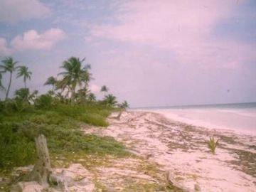 TERRENOS EN VENTA $80 USD M2 FRENTE MAR EN MAJAHUAL F 2840 LOTES: 50  X 100 MTS