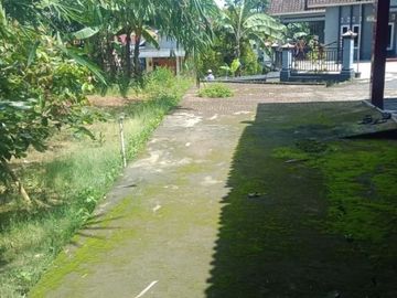 Tanah ngargoyoso 350m 175jt shm pekarangan
