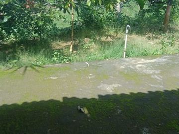 Tanah ngargoyoso 350m 175jt shm pekarangan