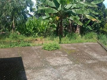 Tanah ngargoyoso 350m 175jt shm pekarangan