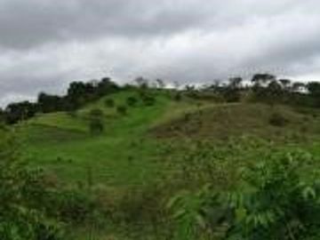 Venta de Terreno en Mompiche Esmeraldas de 40.000 metros cuadrados