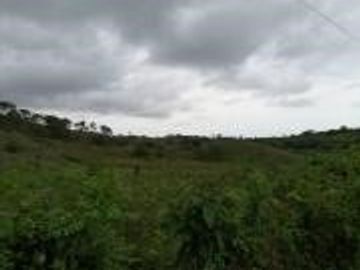 Venta de Terreno en Mompiche Esmeraldas de 40.000 metros cuadrados