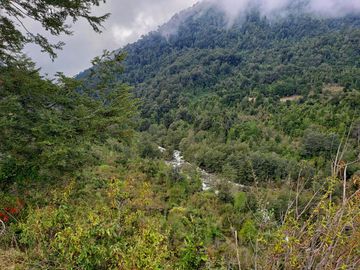 Linda Parcela De 1,25 Ha Colindante Con El Río Quimán En Futrono