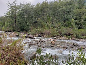 Linda Parcela De 1,25 Ha Colindante Con El Río Quimán En Futrono