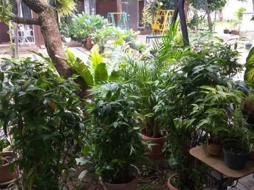 Rumah second 2 lt dkt tol Bintaro di Pd Ranji Tang Sel 1,4 M