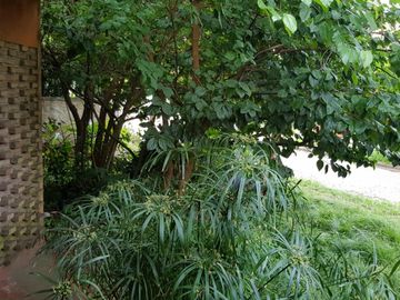 Propiedad en lote propio ubicado en el barrio parque sur horeis próximo Av. marquez