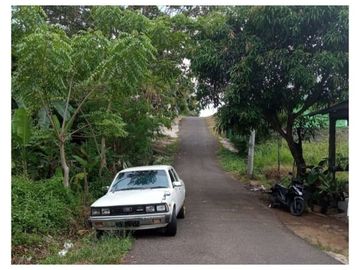 TANAH JALAN RAYA SUNGAI RUPAT PAGAR DEWA KOTA BENGKULU