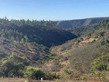 PARCELAS EN ROCAS DE SANTO DOMINGO VARIEDAD DE OPCIONES