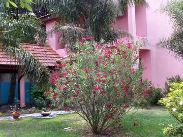 IMPECABLE CHALET SOBRE 2100 METROS DE PARQUE