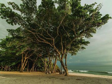 Departamento en venta en punta de mita frente a la playa | BOL