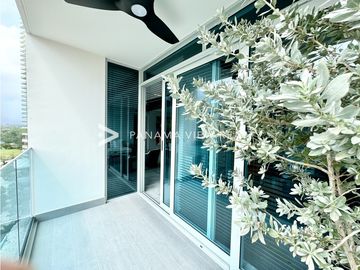 THE IVY / SANTA MARIA / VENTA