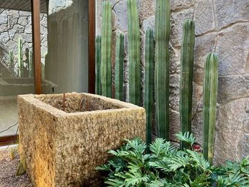 Residencia PREMIUM Altozano Queretaro, GRAN JARDIN y colinda  RESERVA ECOLOGICA