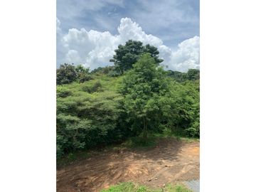 VENDO PH FOREST GATE A ESTRENAR EN ALBROOK