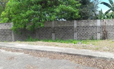 174 Sqm Residential Lot for Sale in Basak, Lapu-Lapu Cebu