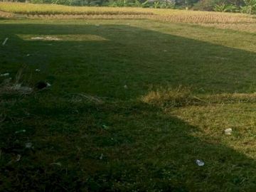 JUAL TANAH SHM SIAP BANGUN DI SOREANG BANDUNG