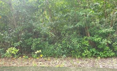 125 SQM Residential Lot for Sale in Greenville Heights Consolacion Cebu