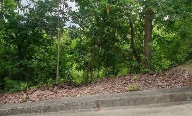 125 SQM Residential Lot for Sale in Greenville Heights Consolacion Cebu