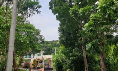 125 SQM Residential Lot for Sale in Greenville Heights Consolacion Cebu