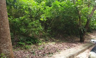 125 SQM Residential Lot for Sale in Greenville Heights Consolacion Cebu