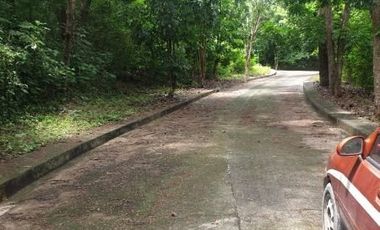 125 SQM Residential Lot for Sale in Greenville Heights Consolacion Cebu