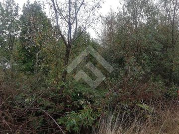 Parcela en venta en Club de Campo Residencial Puerto Varas