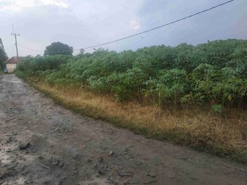 850 Ribu Bisa Angsur 12 x Bunga 0%! Tanah Kavling SHM Bogor