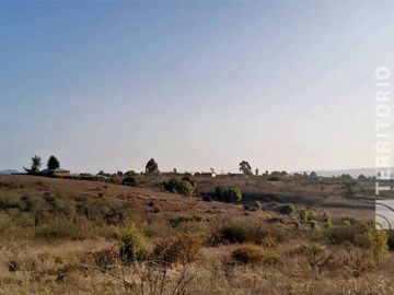 SE VENDE PARCELA(5.000M2) CAMPOMAR 7, VALLE ALEGRE
