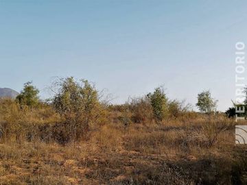 SE VENDE PARCELA(5.000M2) CAMPOMAR 7, VALLE ALEGRE