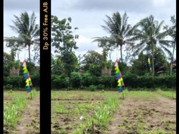 Tanah kavling surya regency