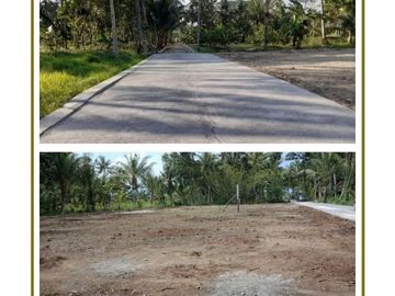 1 Jutaan/m² Tanah Murah Dekat Jl Raya Kalisuren, Diskon 25%
