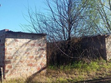 Campo | Ruta 250 al 200