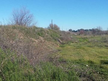 Campo | Ruta 250 al 200