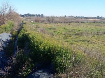 Campo | Ruta 250 al 200