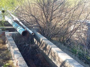 Campo | Ruta 250 al 200