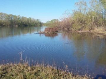 Campo | Ruta 250 al 200