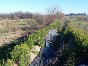 Campo | Ruta 250 al 200