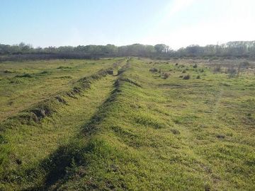 Campo | Ruta 250 al 200