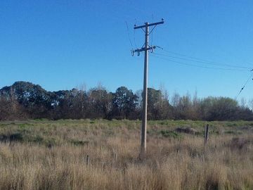 Campo | Ruta 250 al 200