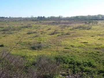 Campo | Ruta 250 al 200