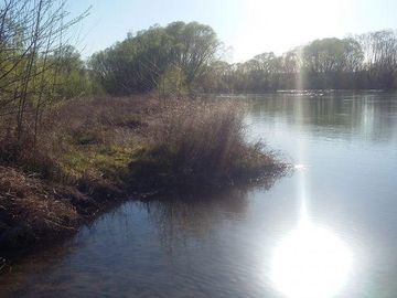 Campo | Ruta 250 al 200