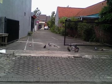 DIJUAL RUMAH MINIMALIS WONOAYU SIDOARJO