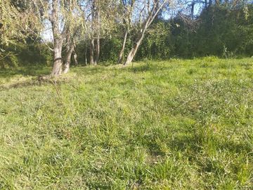 Vendo 1.8 hectáreas en Región del Maule