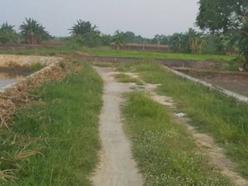 Tanah murah Gurang Anyar Cerme Gresik