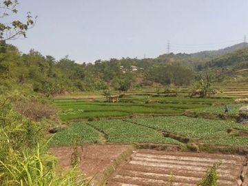 Jual Tanah Perumahan 16 Ha Di Cangkuang Kota Bandung