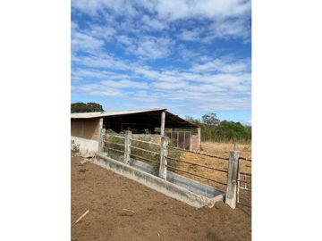 HERMOSO RANCHO EN LOS GAVILANES