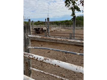 HERMOSO RANCHO EN LOS GAVILANES