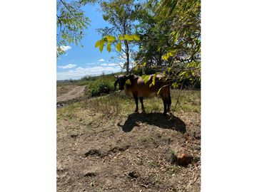 HERMOSO RANCHO EN LOS GAVILANES