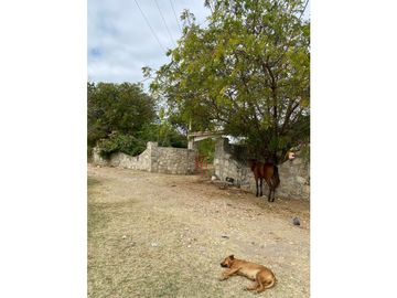 HERMOSO RANCHO EN LOS GAVILANES