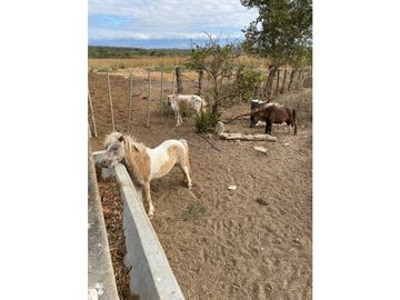 HERMOSO RANCHO EN LOS GAVILANES