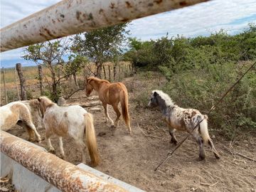 HERMOSO RANCHO EN LOS GAVILANES